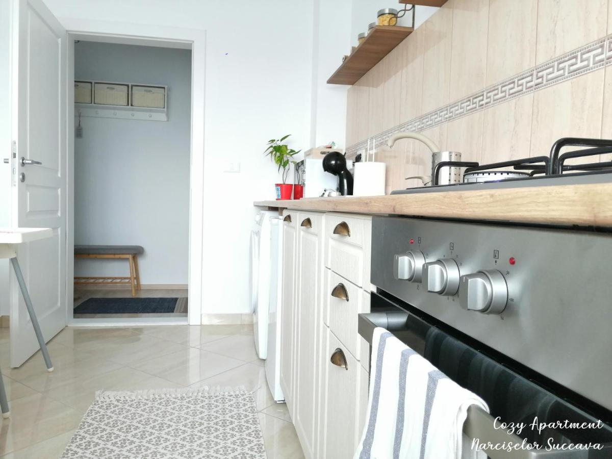 Cozy Apartment Narciselor Suceava Ipotesti  Luaran gambar