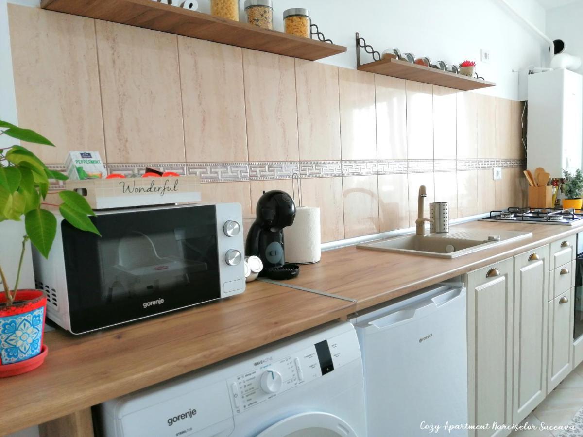 Cozy Apartment Narciselor Suceava Ipotesti  Luaran gambar