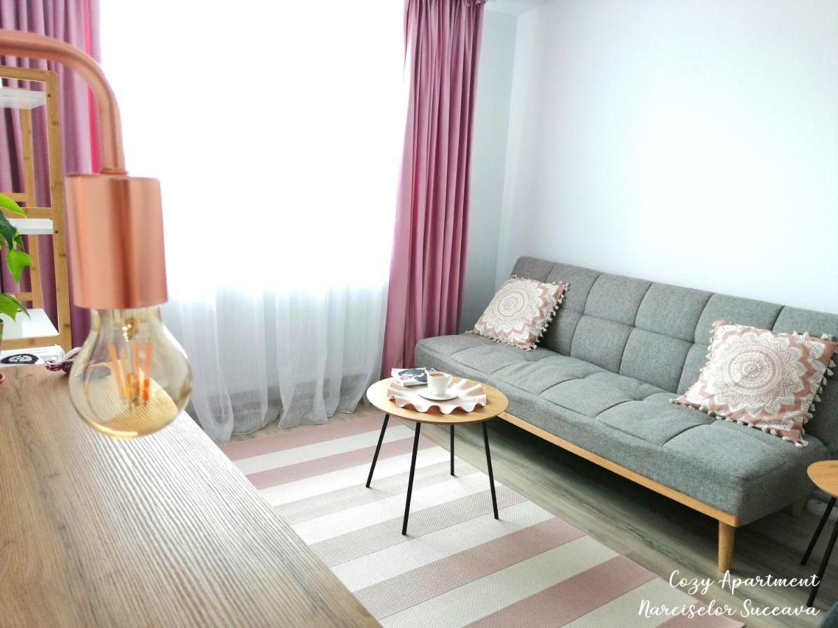 Cozy Apartment Narciselor Suceava Ipotesti  Luaran gambar