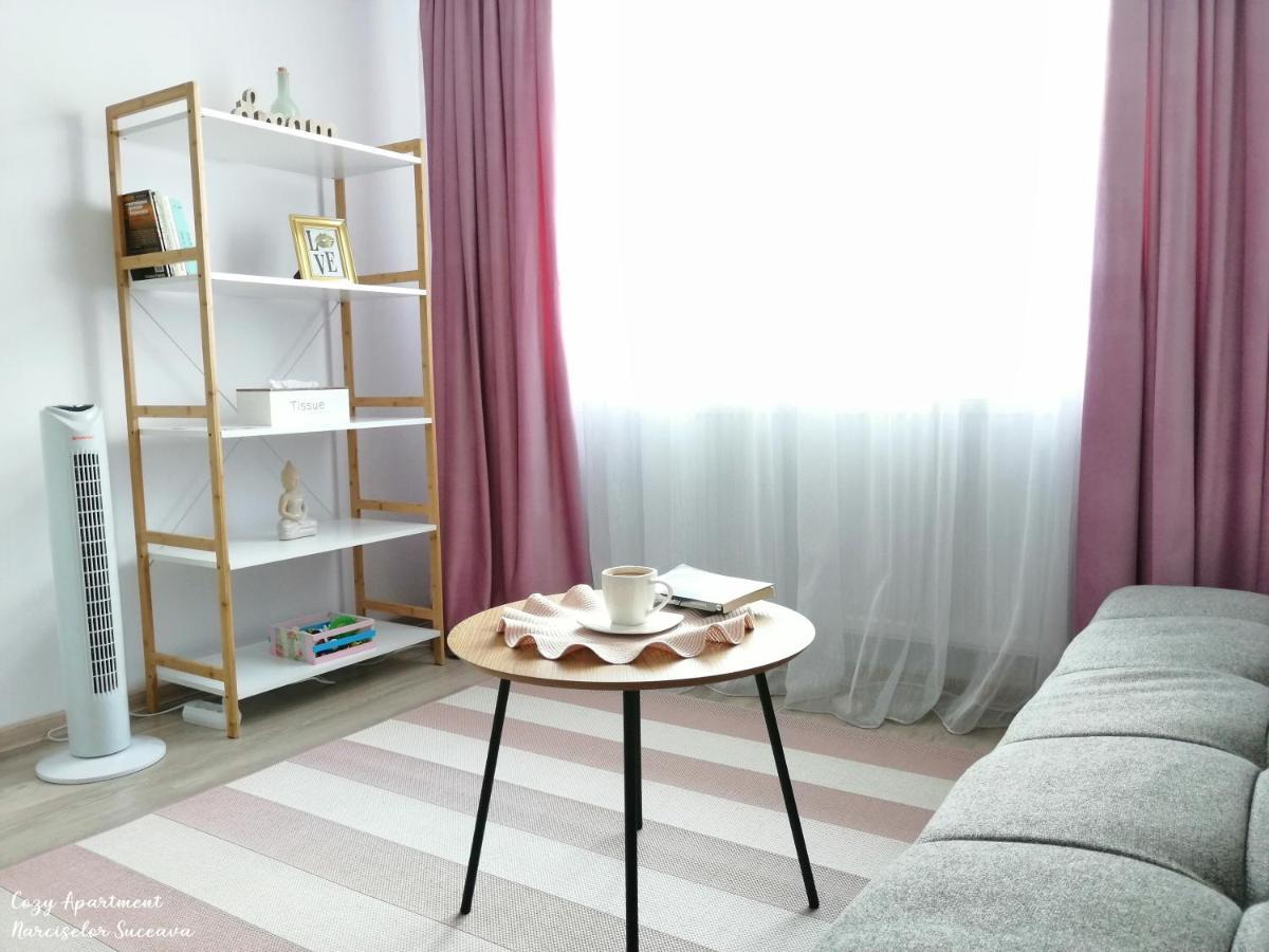 Cozy Apartment Narciselor Suceava Ipotesti  Luaran gambar