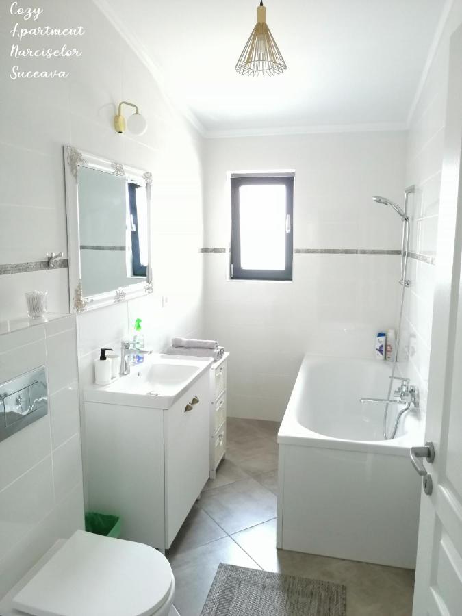 Cozy Apartment Narciselor Suceava Ipotesti  Luaran gambar