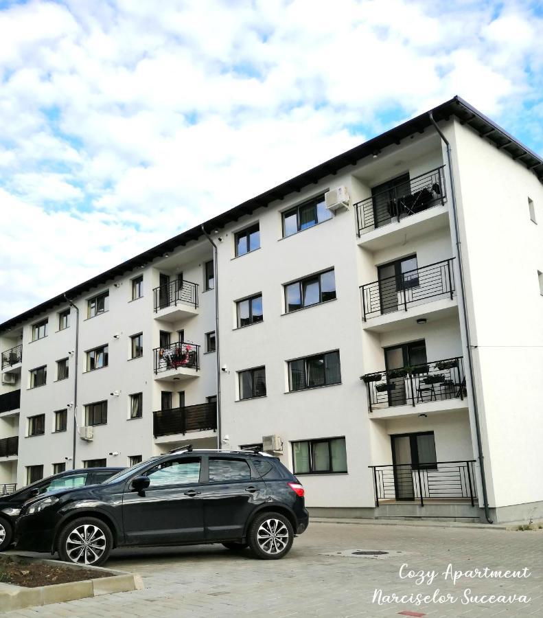 Cozy Apartment Narciselor Suceava Ipotesti  Luaran gambar
